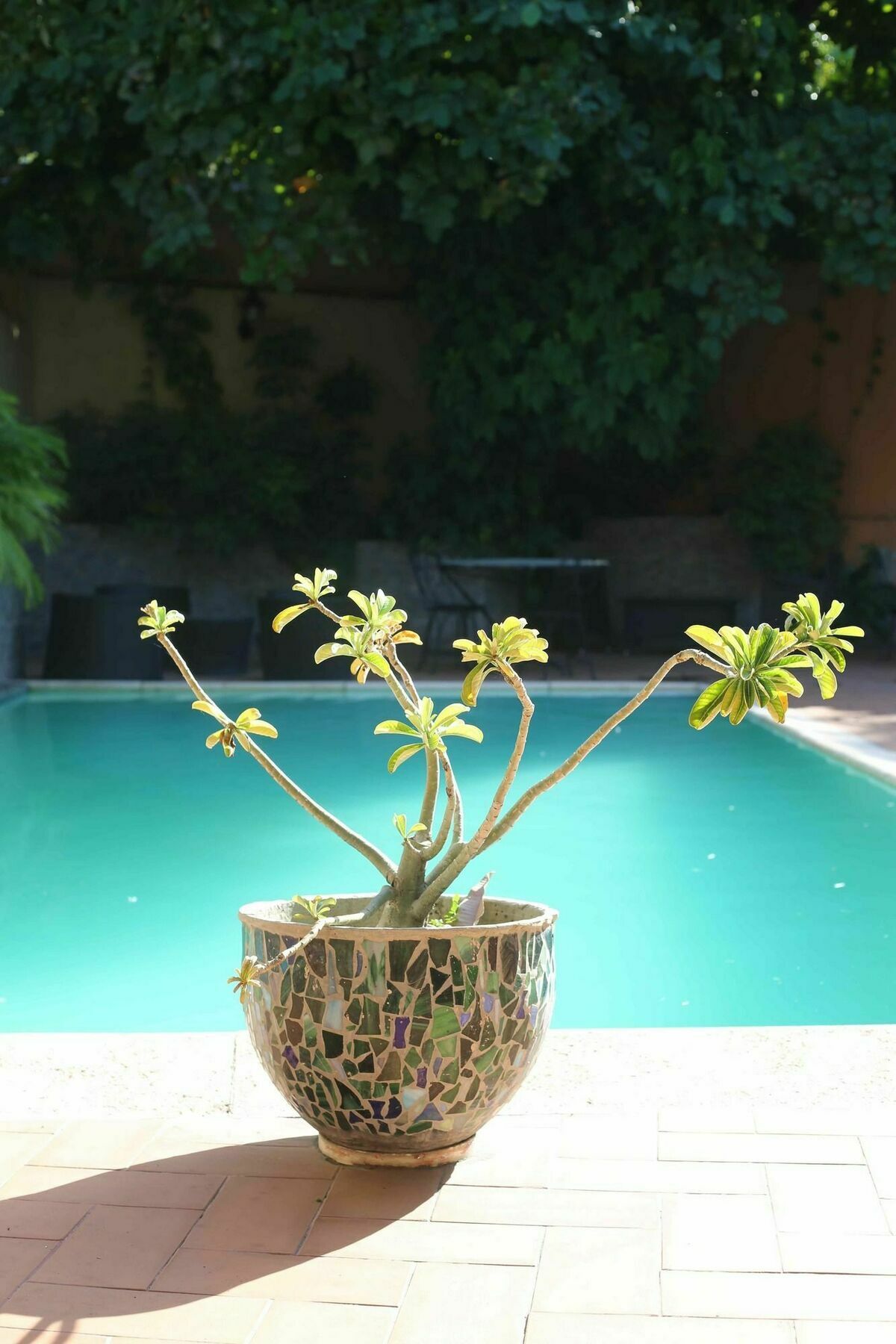 Prince Hotel Port-au-Prince Dış mekan fotoğraf
